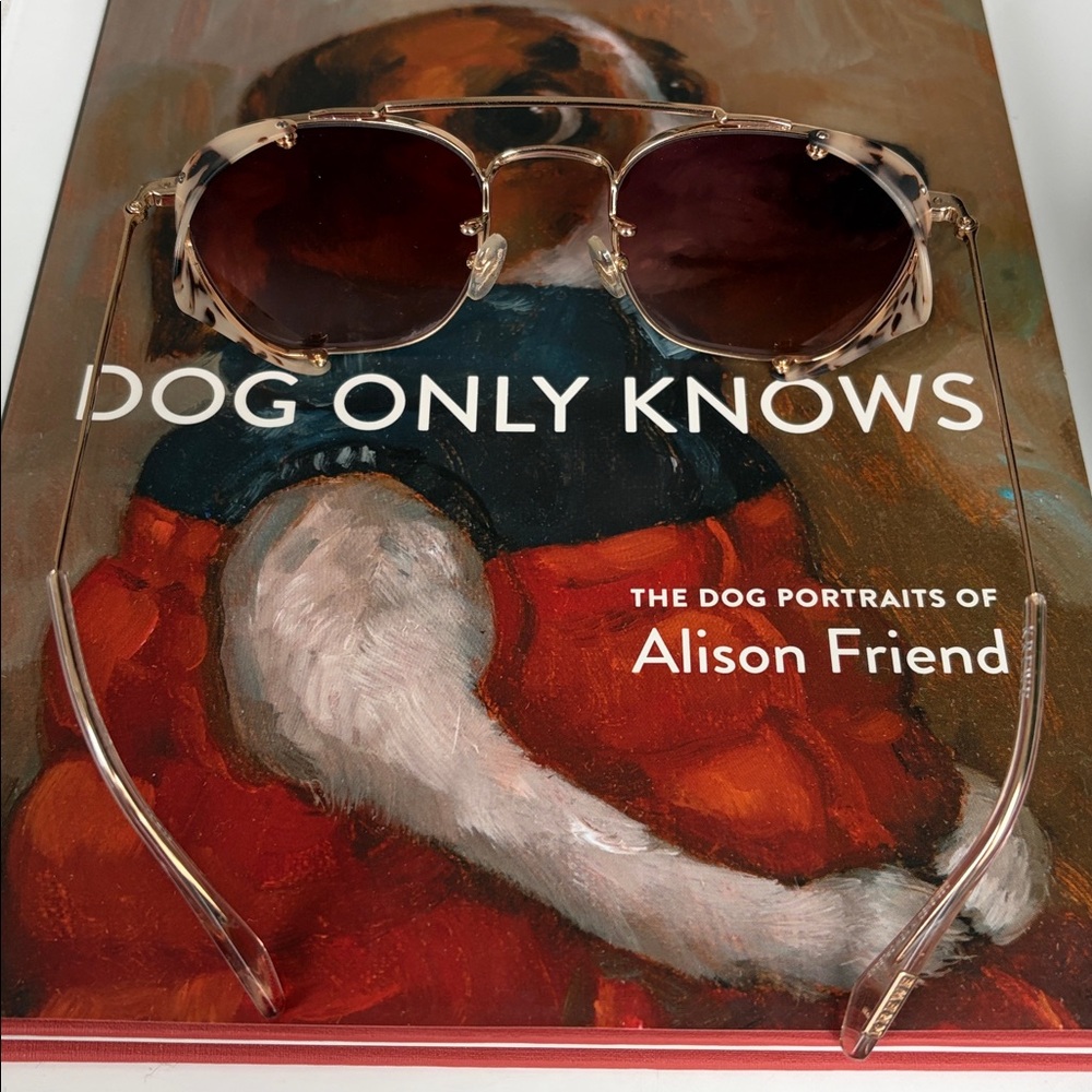 NWOT KREWE Earhart Blinker Sunglasses in Matte Oyster Petal - Picture 6 of 8